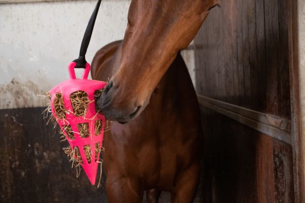 302517 Hay Slowfeeder Fun and Flex 22 cm Groene Wortel