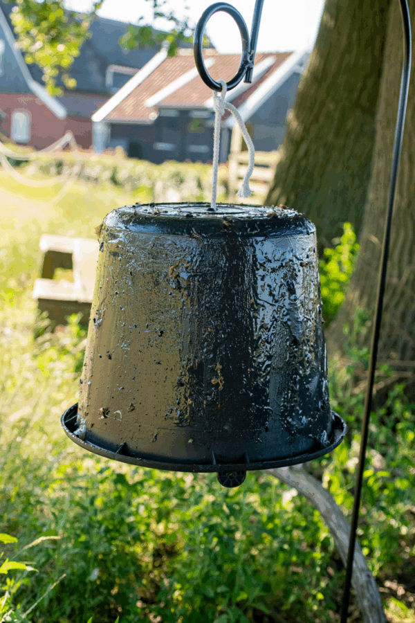 302532 Sticky Trap emmer zwart compleet