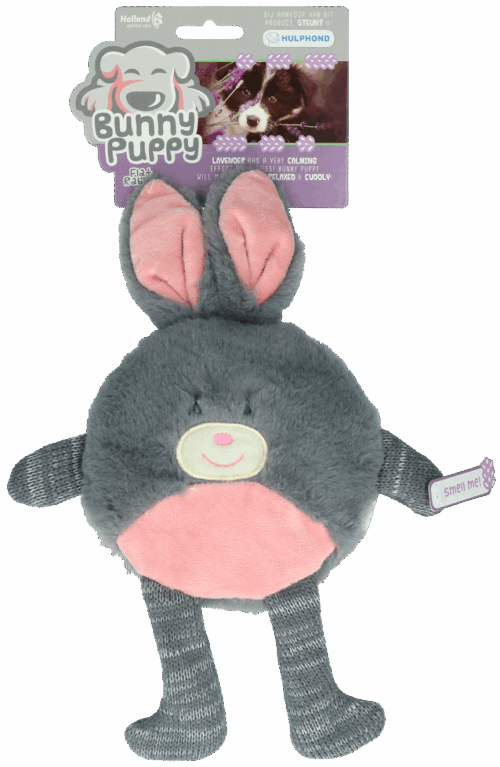 302565 Bunny Puppy Flat Rabbit