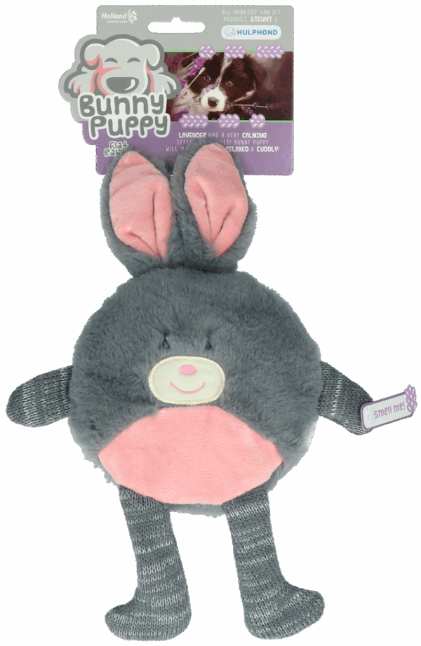 Bunny Puppy Flat Rabbit