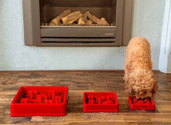 Eat Slow Live Longer Star Red L