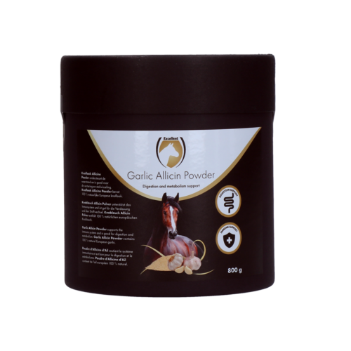 Excellent Horse Garlic Allicin Powder 800 g