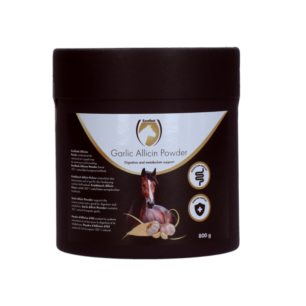 302753 Excellent Horse Garlic Allicin Powder 800 g