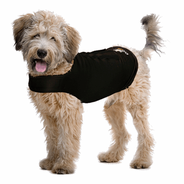 302770 ZenDog Compression Shirt Small