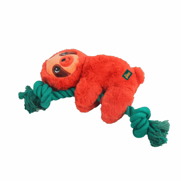 302781 AFP Safari - Rope Cuddle Sloth