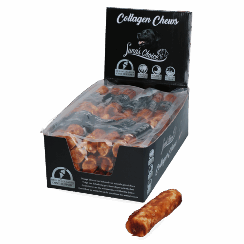 302782 Luna’s Choice Collagen Stick Salmon Large