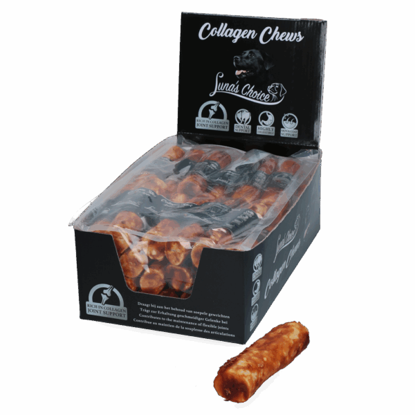 302782 Luna’s Choice Collagen Stick Salmon Large