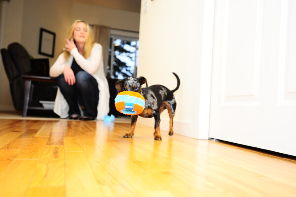 302791 Chuckit Indoor Roller 12 cm