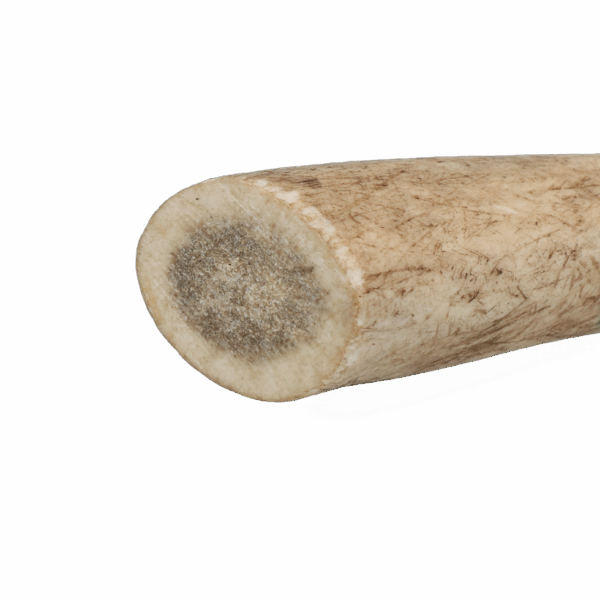 Viking Antler Hard XL