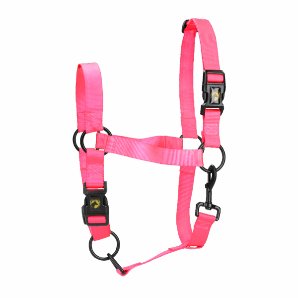 303051 Excellent Horse Essential Halster XL Full Roze
