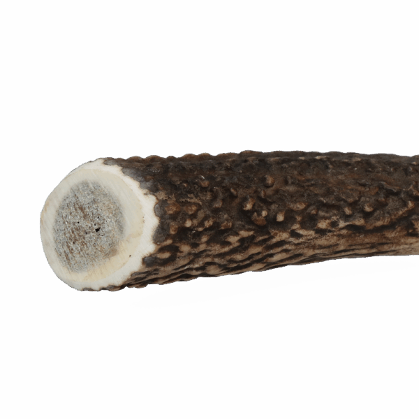 Viking Antler Hard XL