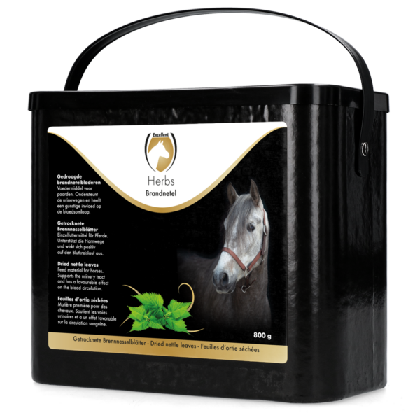 303122 Excellent Herbs Brandnetel