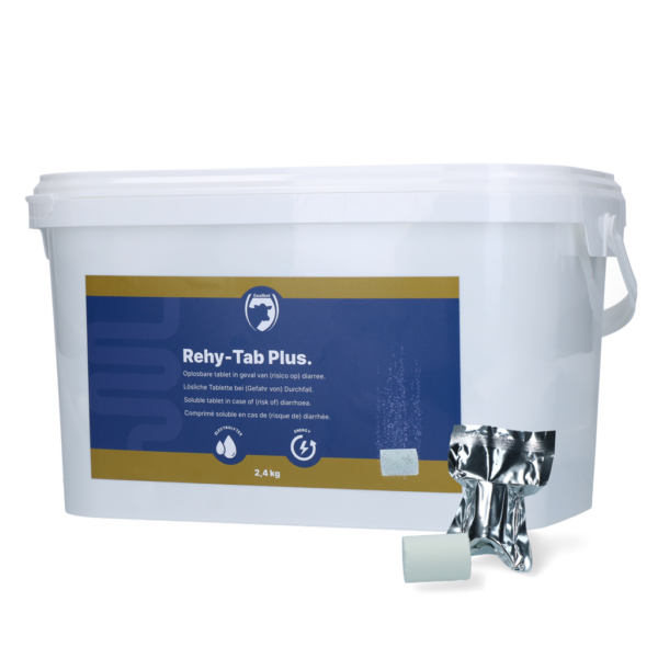 Rehy-Tab Plus (Bruistablet diarree) 48 tabl