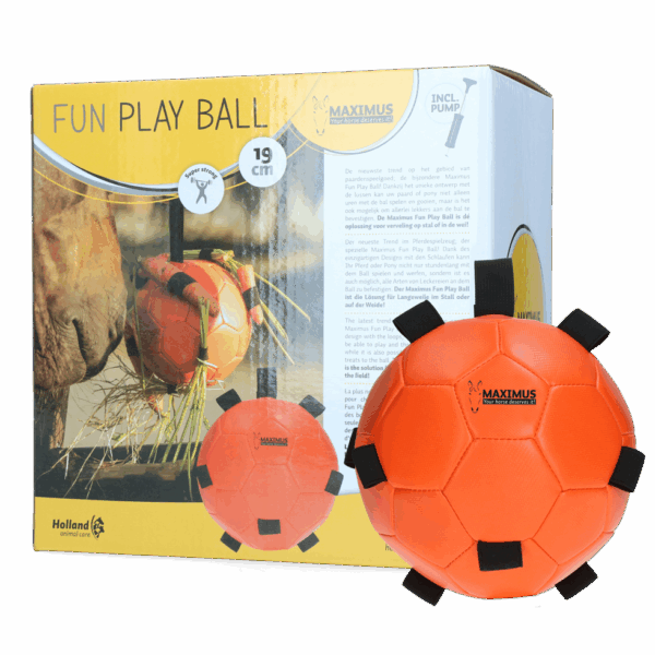 303344 Maximus Fun Play Ball Pink