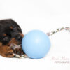 303349 Jolly Ball Romp-n-Roll 15cm Baby Blauw (Bosbessengeur)