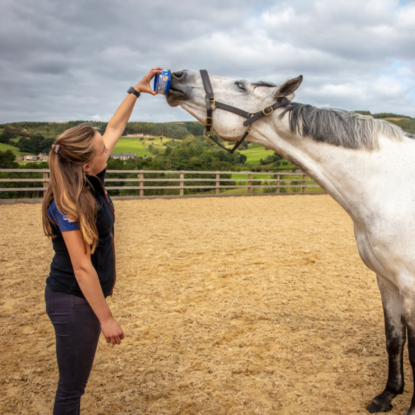 303565 Horslyx Mini Original