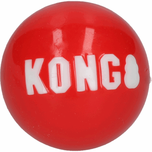 303665 KONG Signature Ball Md EU Bulk