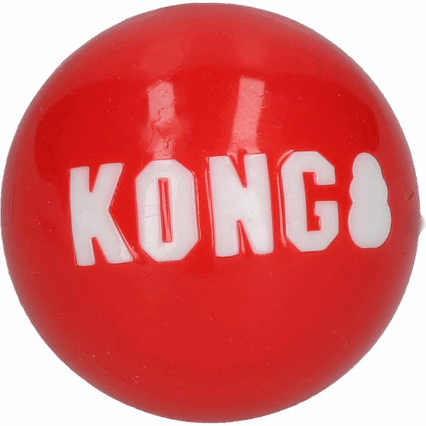 303665 KONG Signature Ball Md EU Bulk