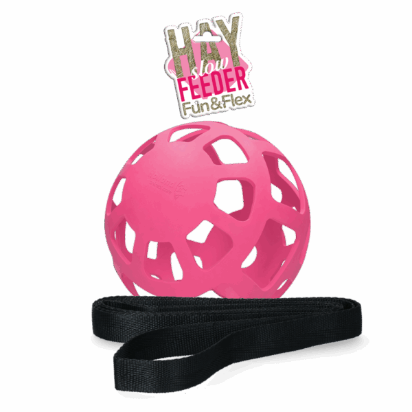 303728 Hay Slowfeeder fun and flex 22 cm Groene Bal