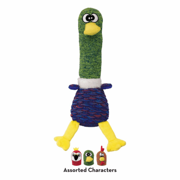 303752 KONG Shakers Cuckoos Assorted Md