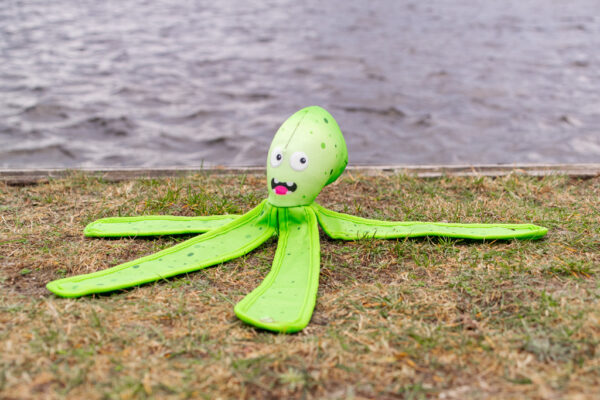 303777 Dog Comets Alien Octo Orange M