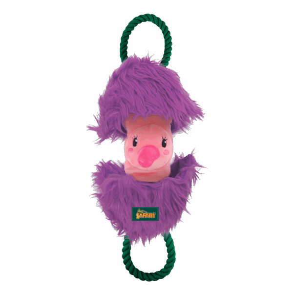 303803 AFP Safari - Leave me alone Flamingo