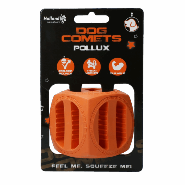 303831 Dog Comets Pollux Oranje