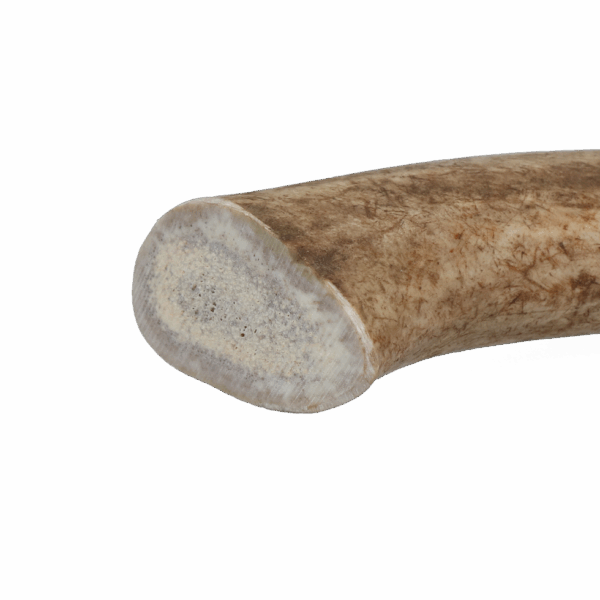 Viking Antler Hard XL