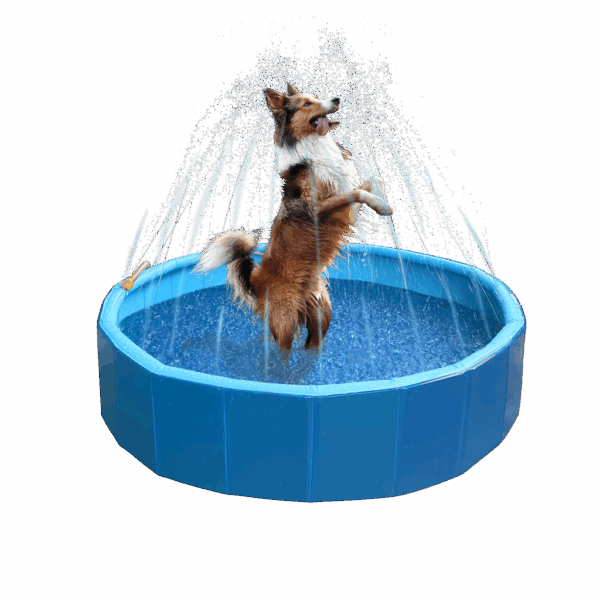 303981 Coolpets Splash Sprinkler Pool 120cm, 30 cm