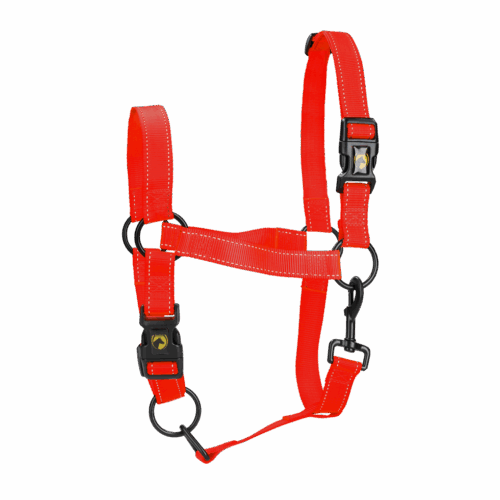 Excellent Horse Premium Halster XL Full Rood