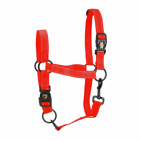 303993 Excellent Horse Premium Halster XL Full Rood
