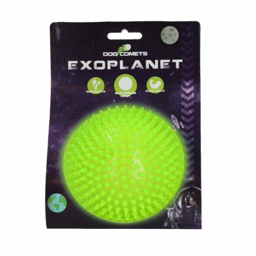 304048 Dog Comets Exoplanet Green L