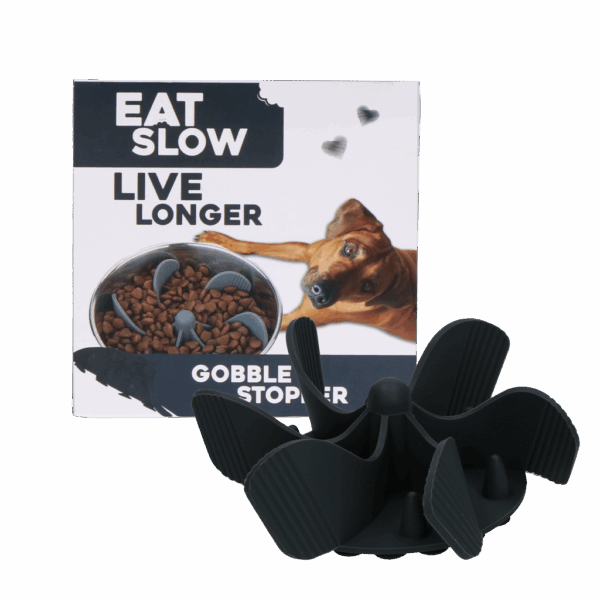 304314 Eat Slow Live Longer Gobble Stopper M Grey