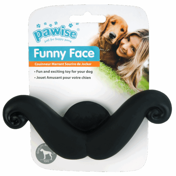 304333 Pawise Funny Face Mustache (14,5cm)