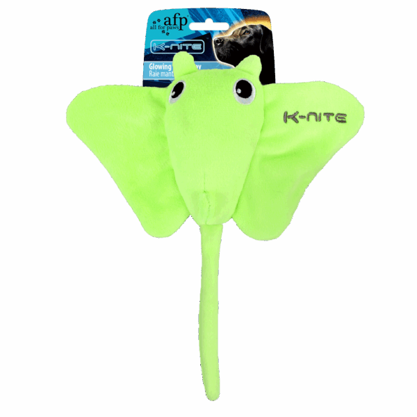 304420 AFP K-Nite - Glowing Eel