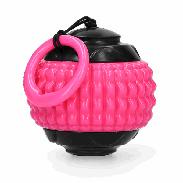 304438 Dog Comets Blazar Jet Groen