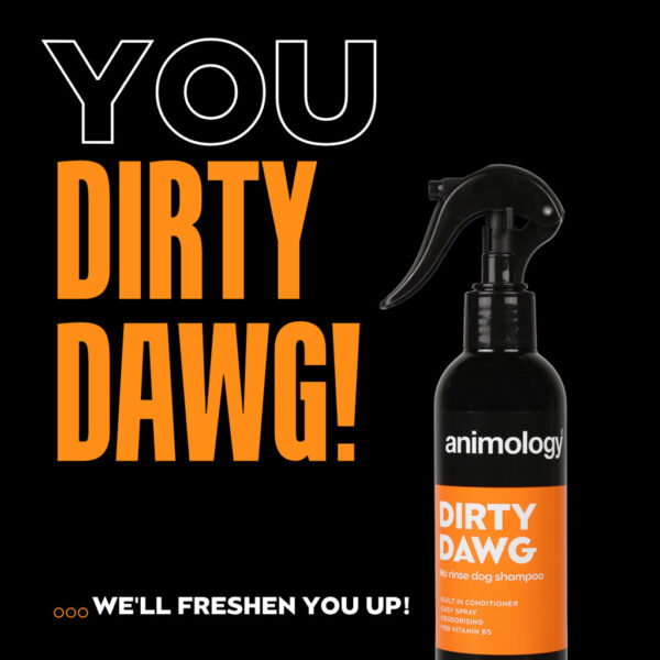 304470 Animology Dirty Dawg No Rinse Shampoo