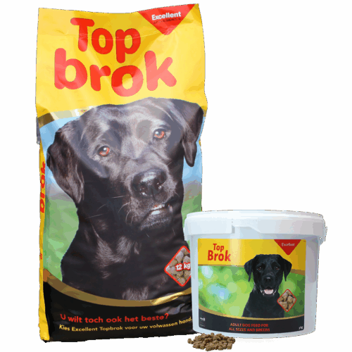 304471 Topbrok Excellent Hond Adult