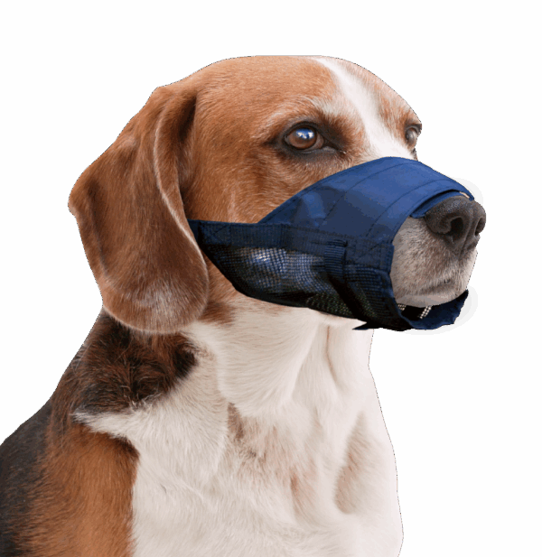 Pawise Muzzle Adjustable L