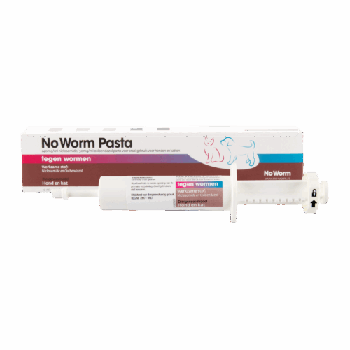 304554 No Worm Pasta 10 ml