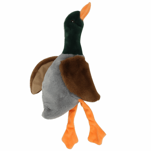 304648 Pawise Stuffless Duck w/big Squeaker