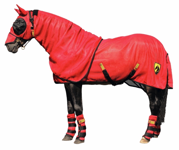 Horse Armor knockdown deken L 191 cm (Insect shield)