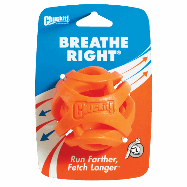 304672 Chuckit! Air Fetch Ball Large