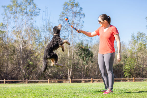 304756 Chuckit Fetch & fold mini 18m launcher