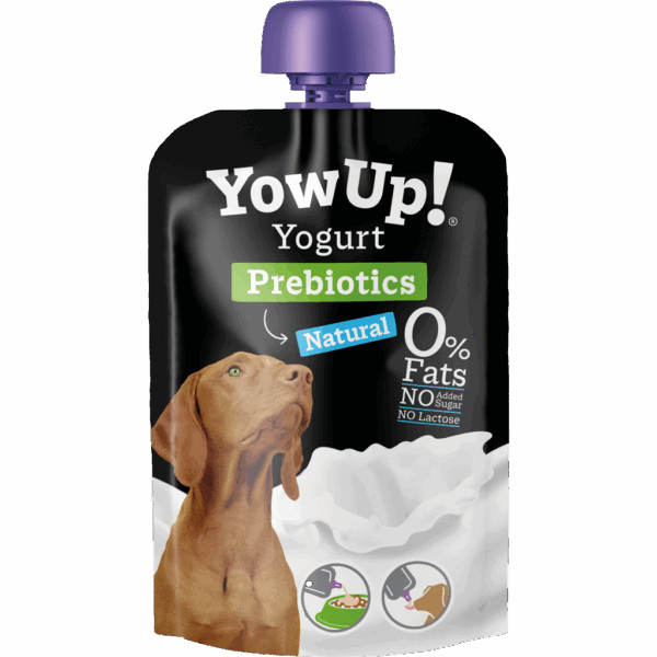 304766 YowUp Yogurt NATURAL DOG 115g