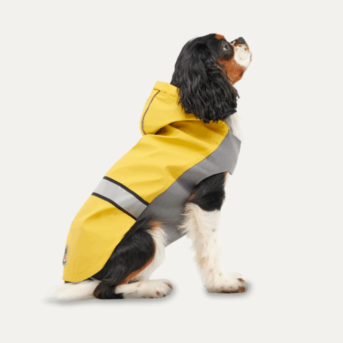 304803 Gooeez Reflective Hooded Raincoat XS Yellow/Grey