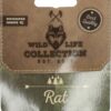 Wild Life Dog Rat