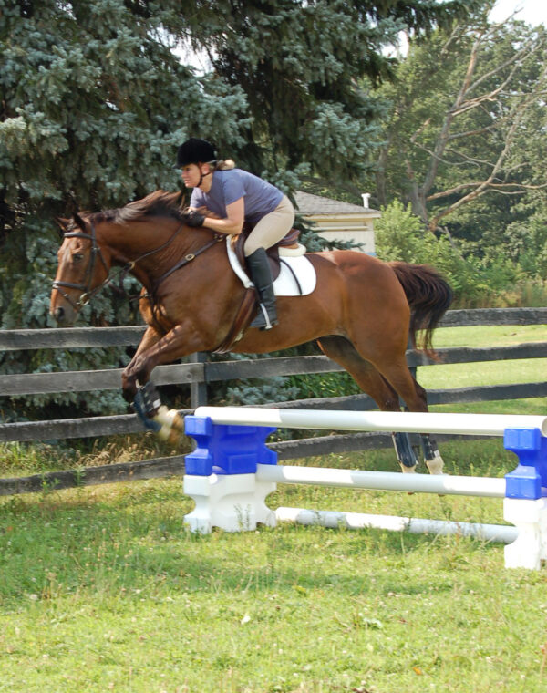 305004 Hindernisblok Kunststof ROOD