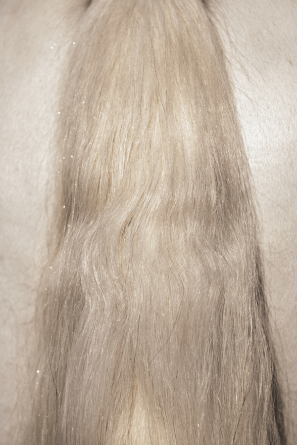 305070 Excellent Horse Hi Gloss Glitter Spray Silver 250 ml