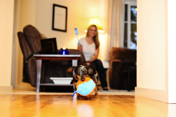 305110 Chuckit Indoor Shaker